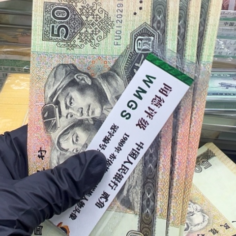 塑料第四套人民币9050标十