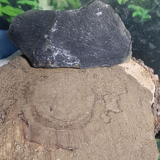 蛇纹石玉未镶嵌珠宝奇石