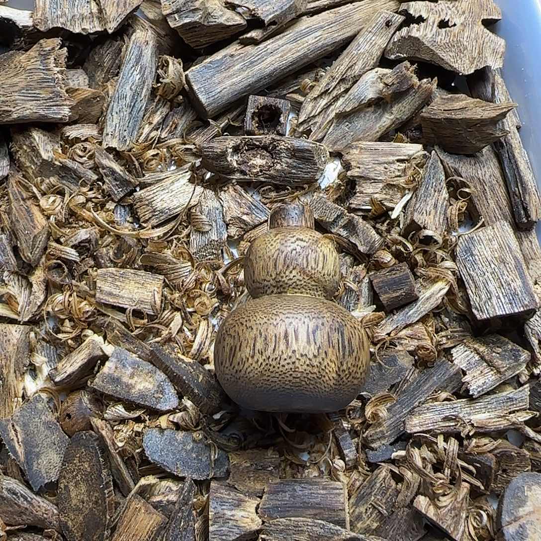 沉香碎屑沉香小葫芦4.4克