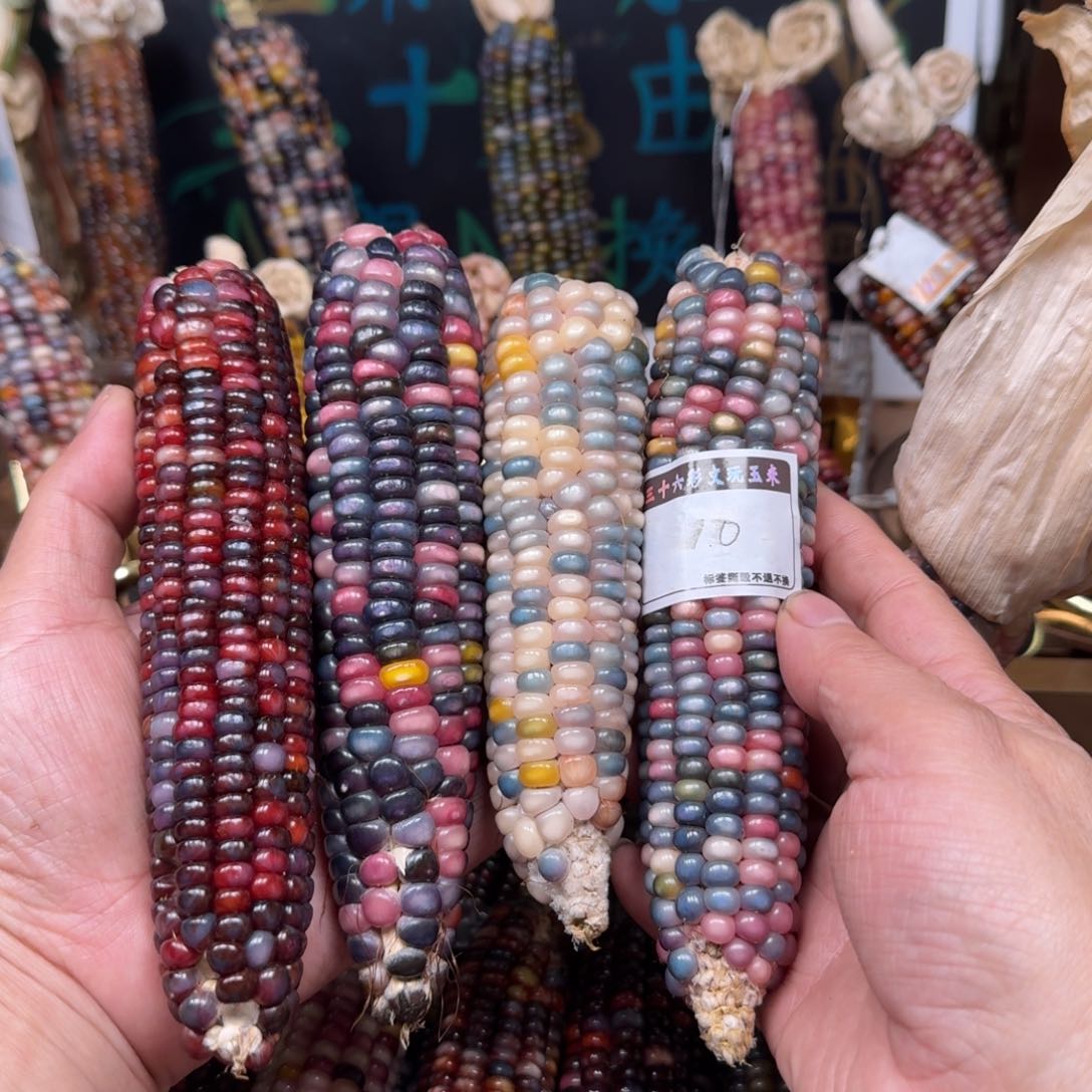 柏香籽/百香籽吊坠9*