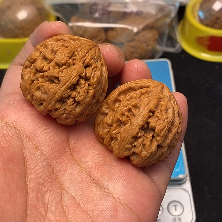 吊坠龙脊菩提大粗筋