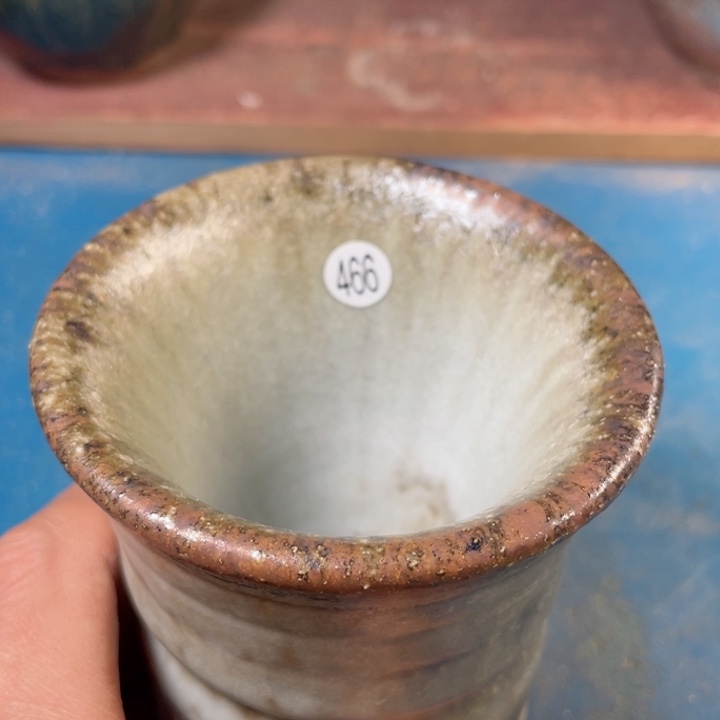 茶盏盏盏灯都是我的爱啊