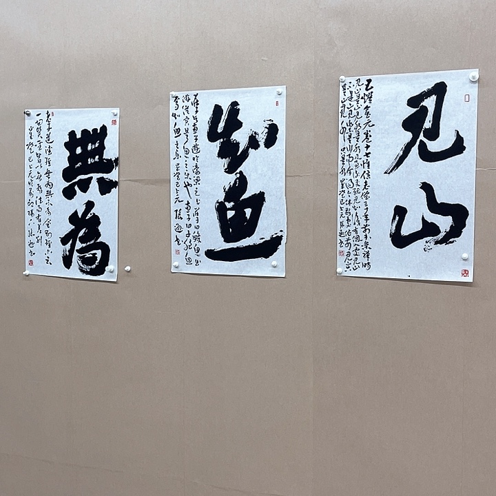 书法江*虞卓非书画45*68㎝*******