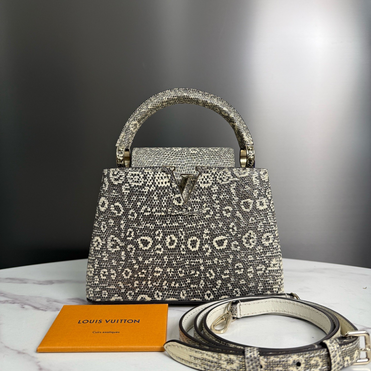 99新 LouisVuitton/路易威登 芯片款卡普辛 Mini16401711