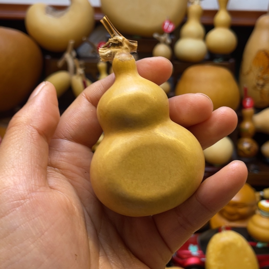 A***?葫芦头的做法是用来泡茶喝