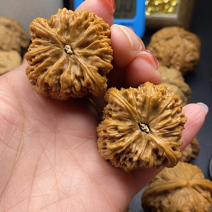 龙脊菩提吊坠南江石42