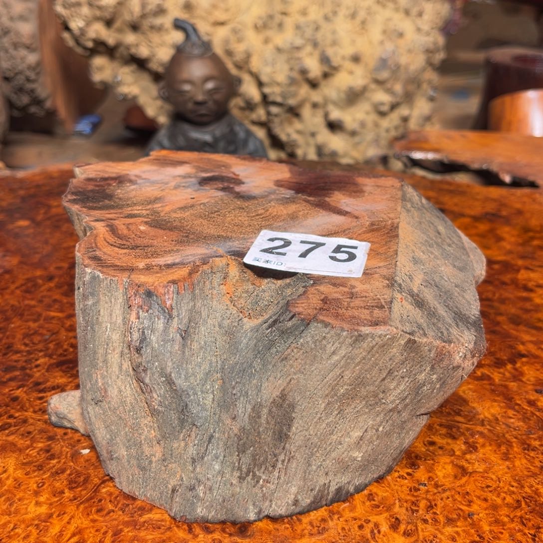 大果紫檀（缅甸花梨）