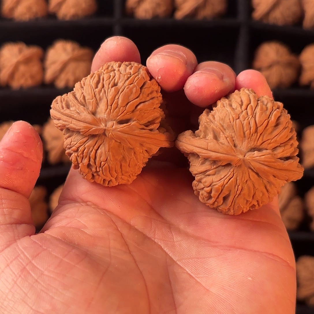 手串/手链核桃5555