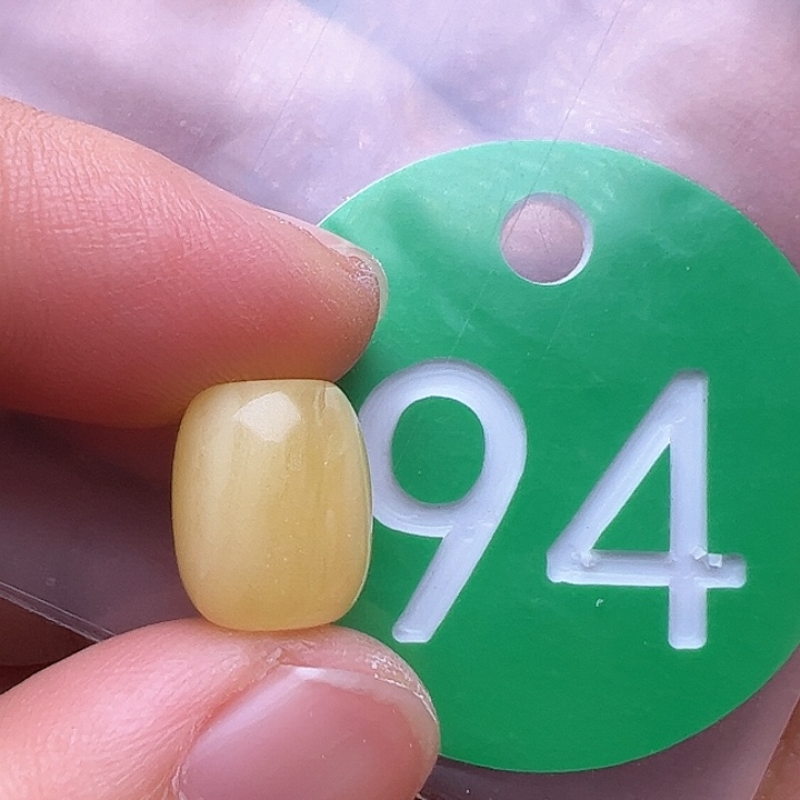 蜜蜡裸石未镶嵌茶**味9.5m m