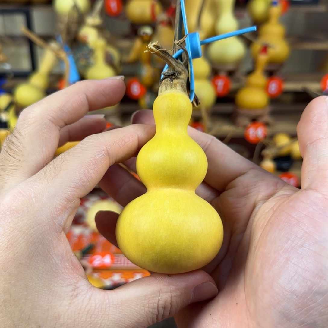 指***甲葫芦ufxhchvicuucvuycvu