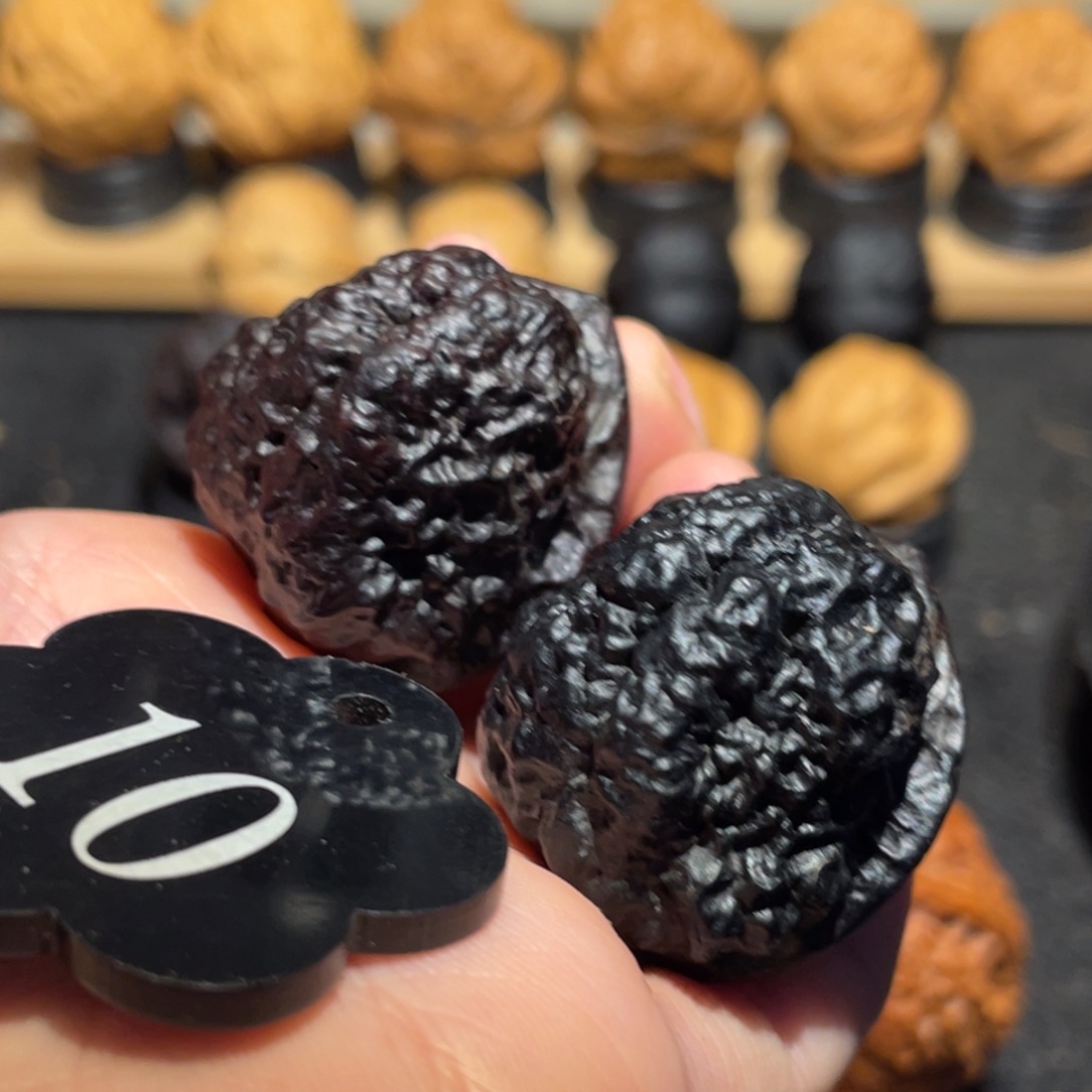 地闷开背帝王蟾核桃32