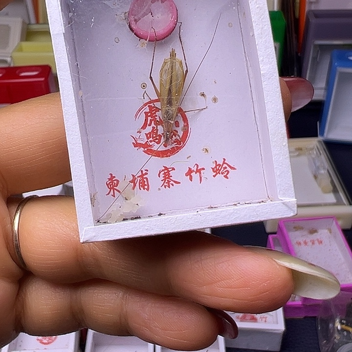 戈***多哈哈哈哈哈哈哈哈哈哈哈哈哈