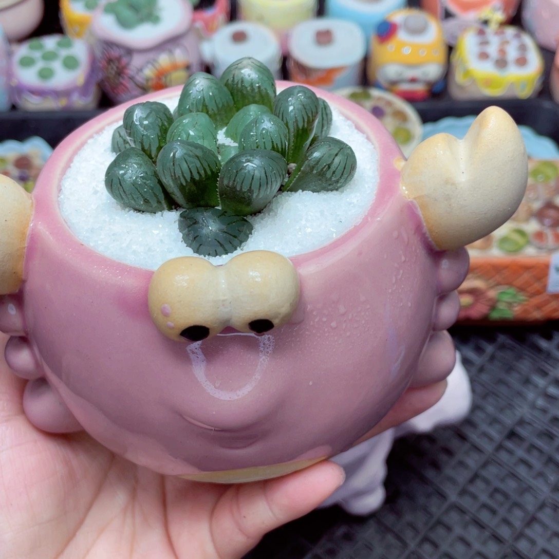 w3399 -微瑕-零下地区拍保温箱-15支持寄养