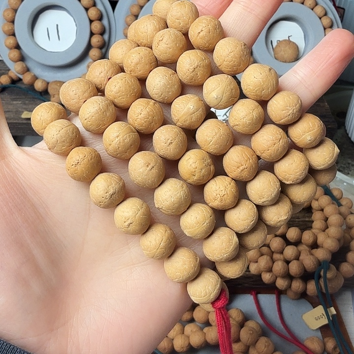 菩提籽类12-12.4同树单仓