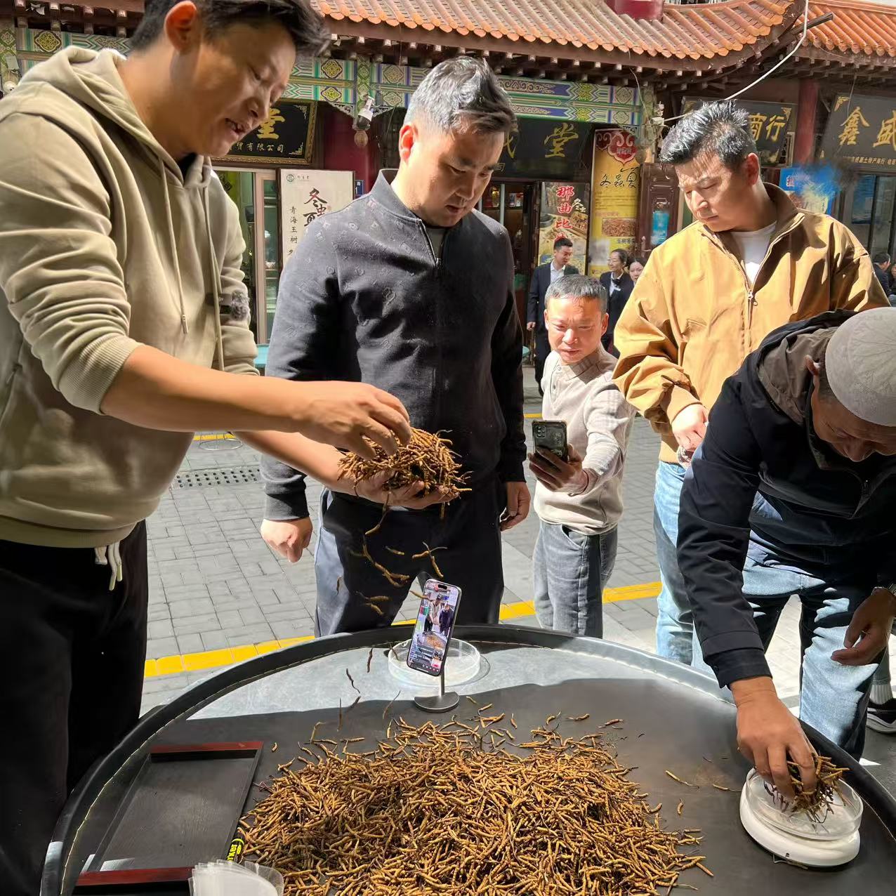 【冬虫夏草】50克  实惠草 二级颜色（有点黑 营养不减） 现场实收 
