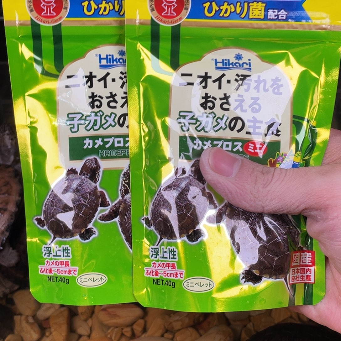 绿毛龟母点点滴滴的反反复复