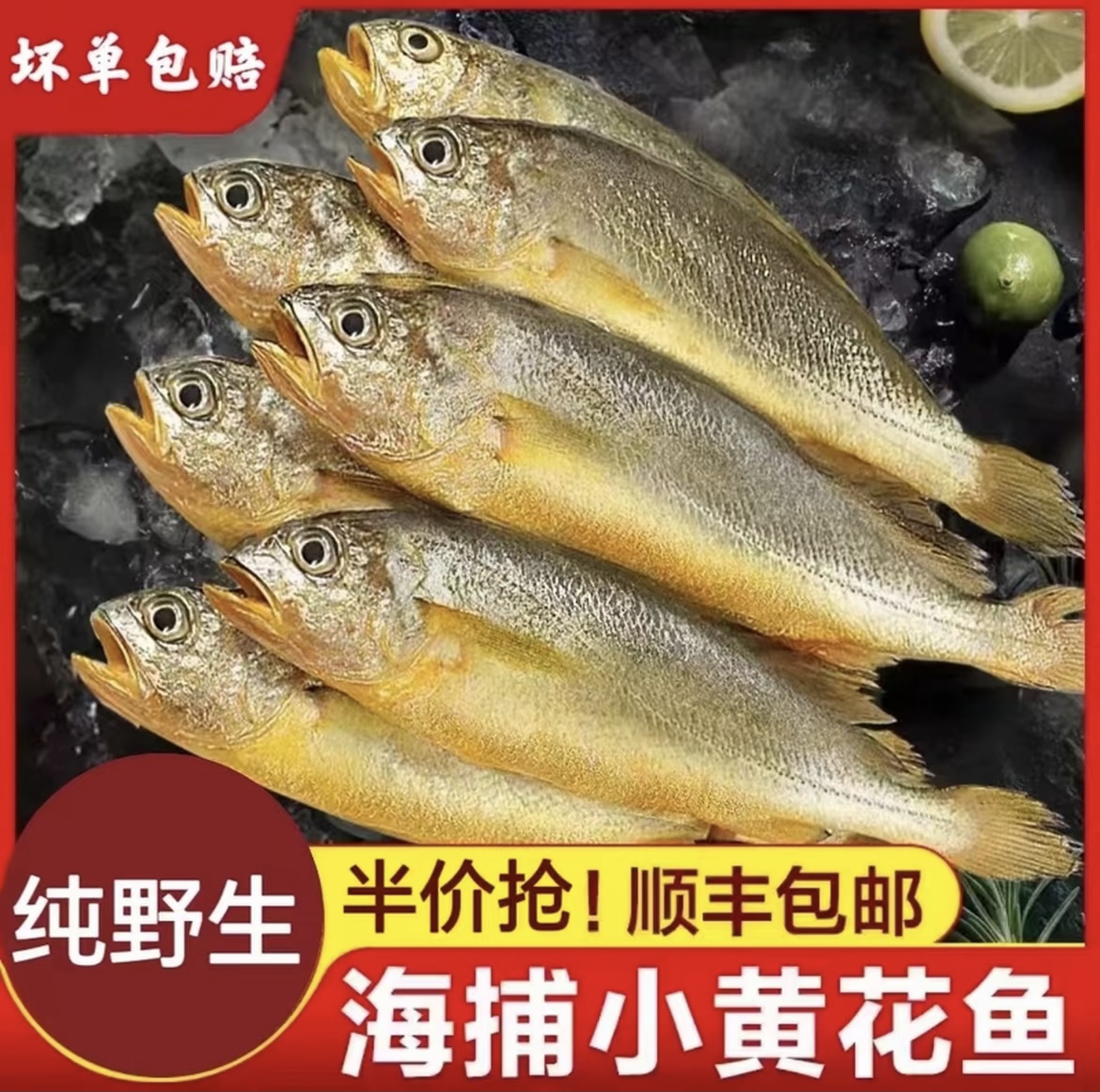 【顺丰包邮】新鲜海捕野生小黄花鱼肉质鲜嫩海鲜水产
