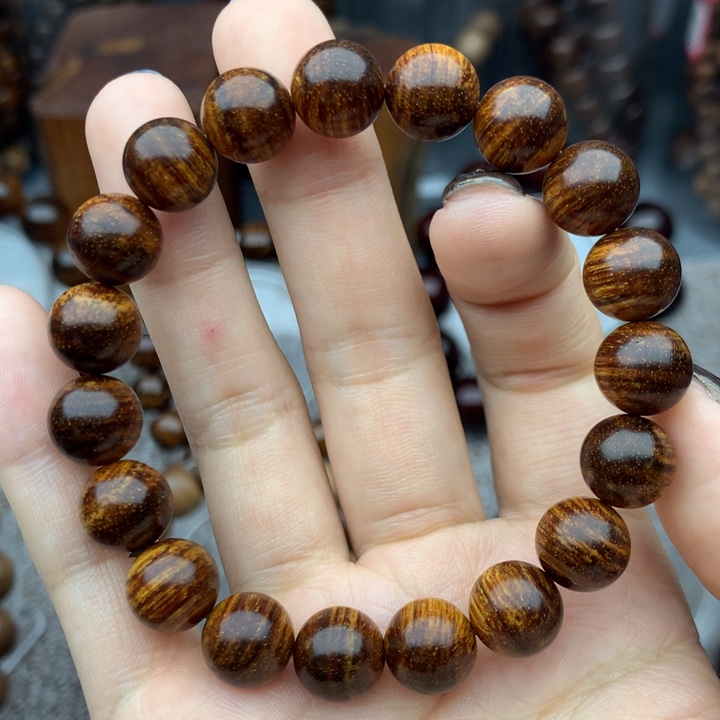 贡木巴布亚1.0横纹果冻