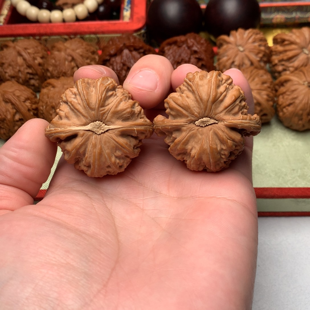 文玩核桃把件44尺球白狮子头