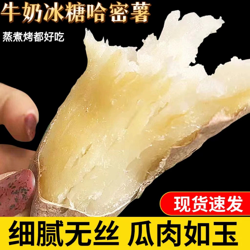 哈蜜薯新鲜白皮人参薯白心板栗薯粉糯香甜粗粮地瓜