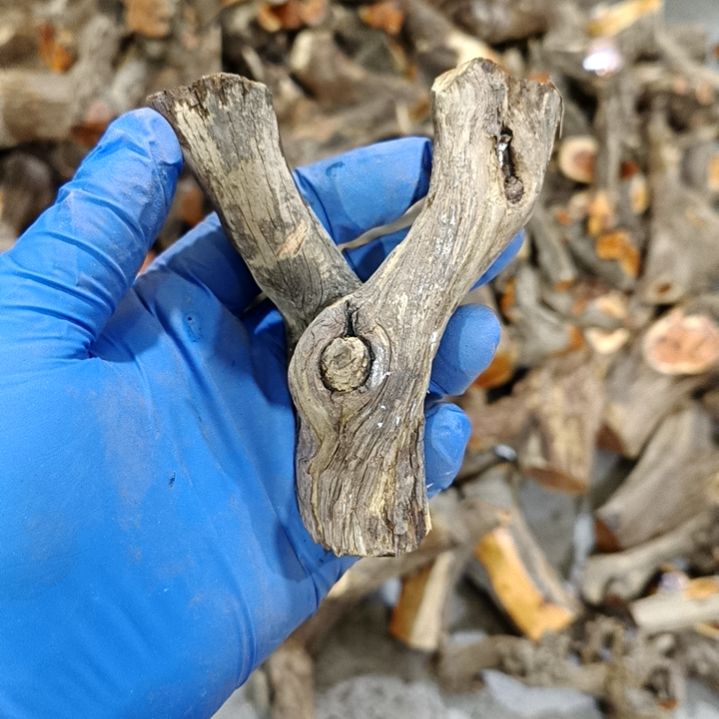 舌***屋香榧木崖柏随行毛料毛料毛料