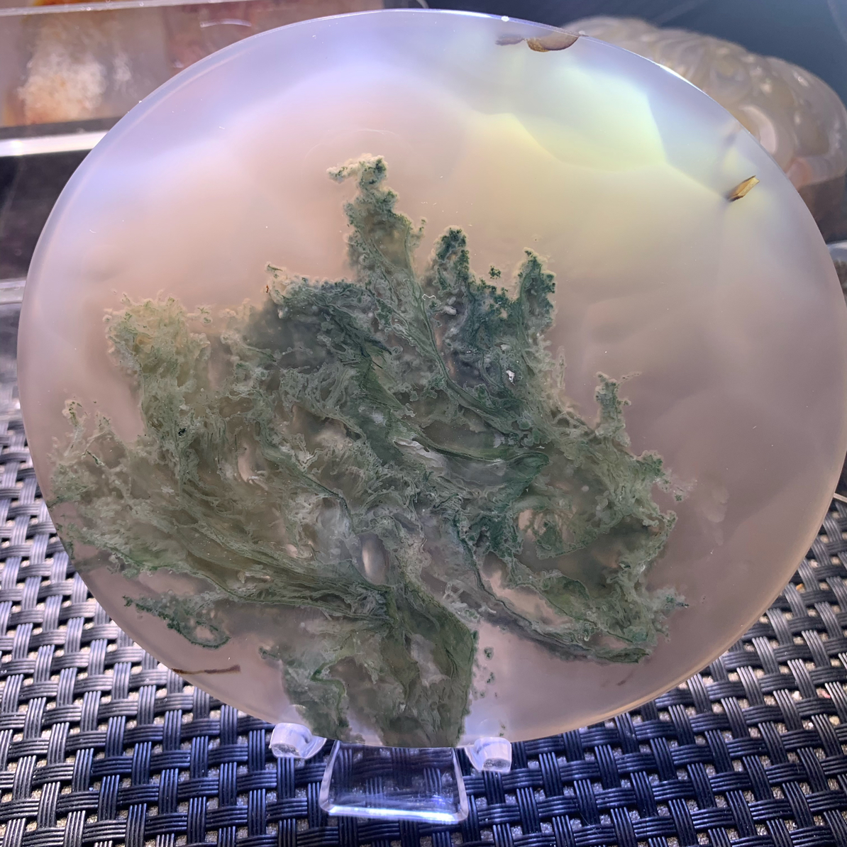 两颗白菜象形天然水草玛瑙超大圆牌摆件