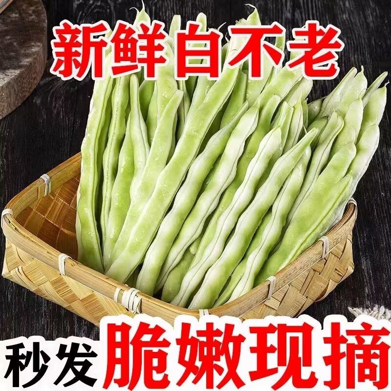 云南现摘新鲜白不老豆角农家自种露天应季蔬菜芸豆无筋鲜脆嫩