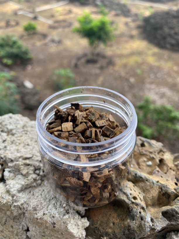 沉香海南精品棋楠碎料香薰20g+99沉级别