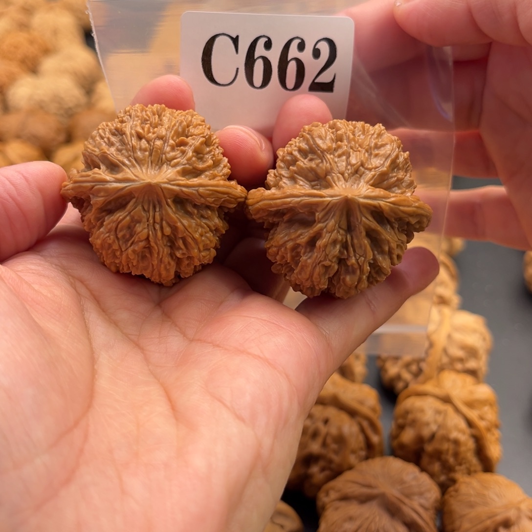 不***彭文玩核桃把件137全品40