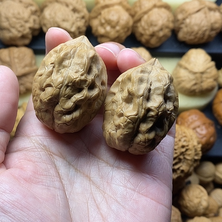 吊坠桃核毒瘤39尺