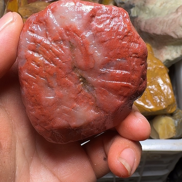 孤***翁寿山石寿山石的种类