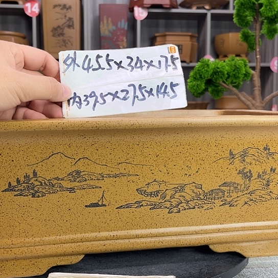 紫砂花盆紫砂花茶