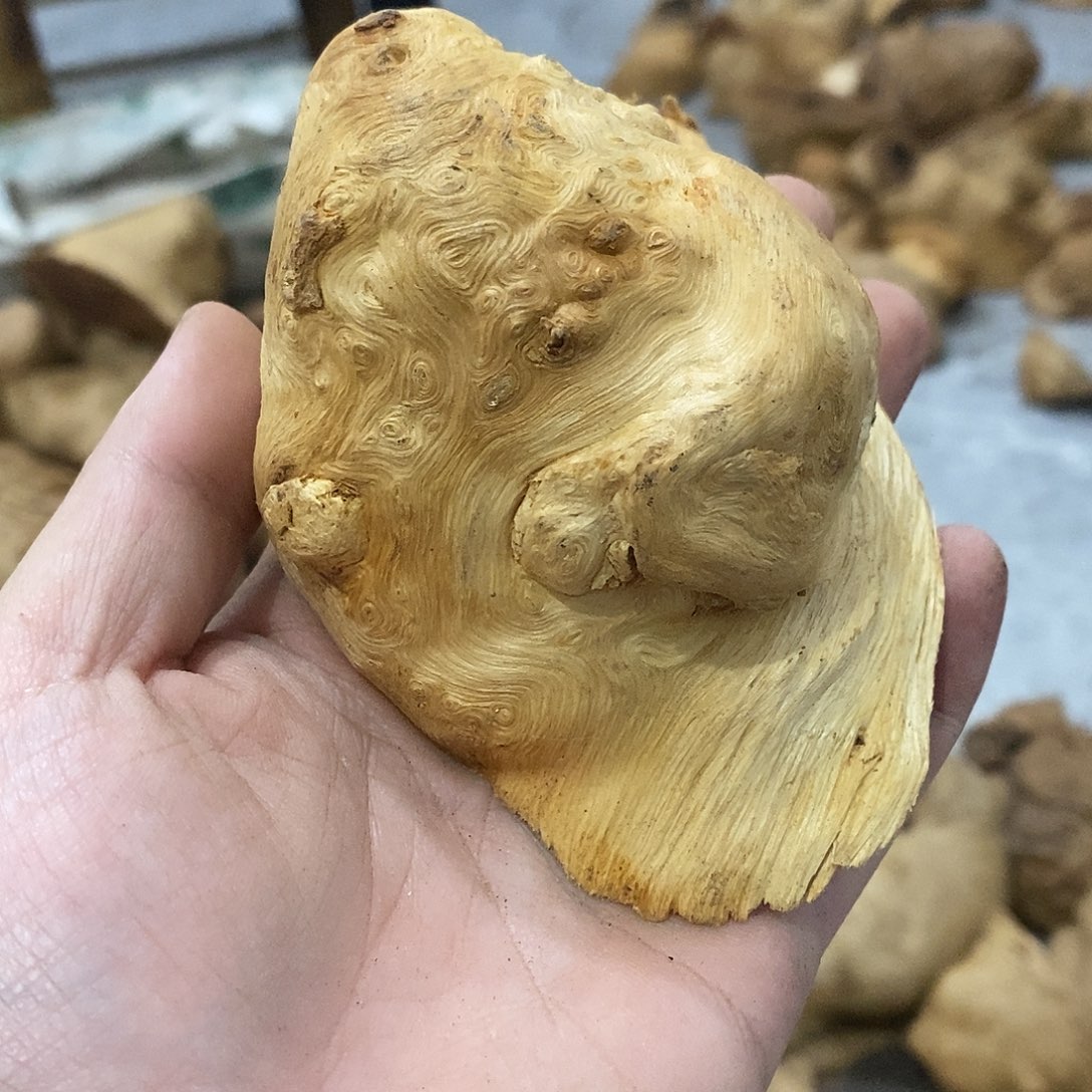 加***吧荔枝木荔枝木原料