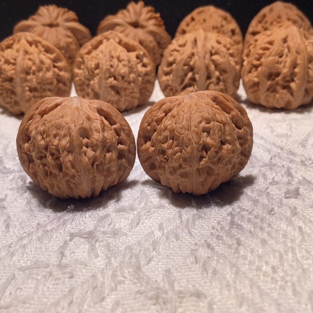 蚊***生极品山地磨，40+尺