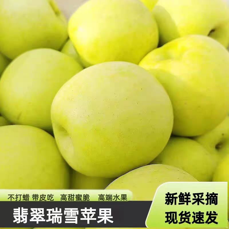 正宗山东瑞雪青苹果新鲜孕妇水果脆甜多汁