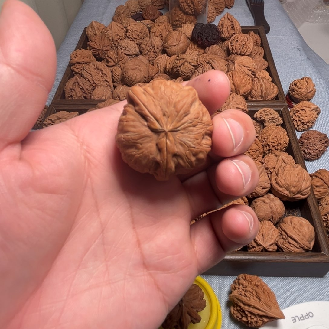 紫***呈核桃核桃核桃核桃