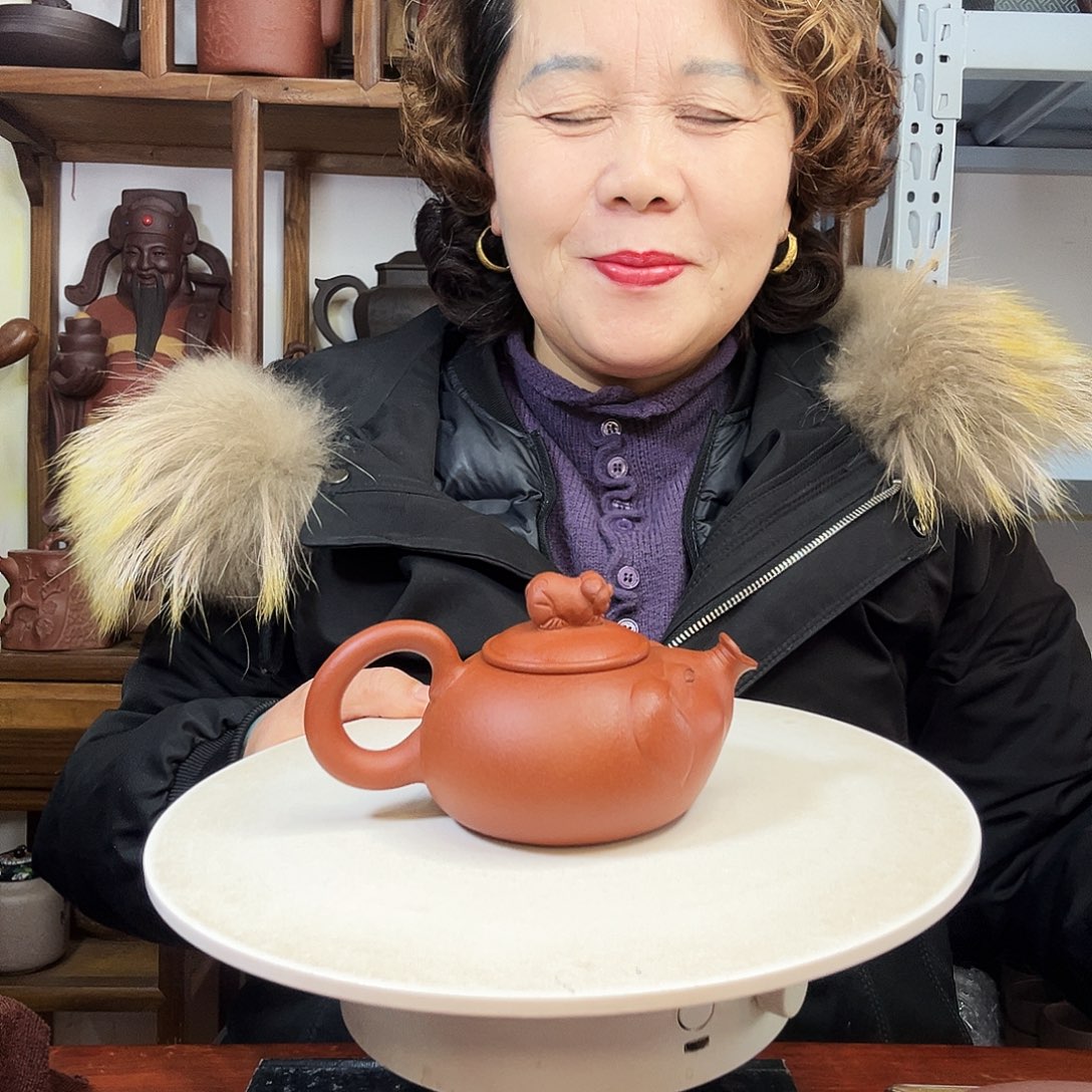 天***宝紫砂茶壶紫砂壶泡茶