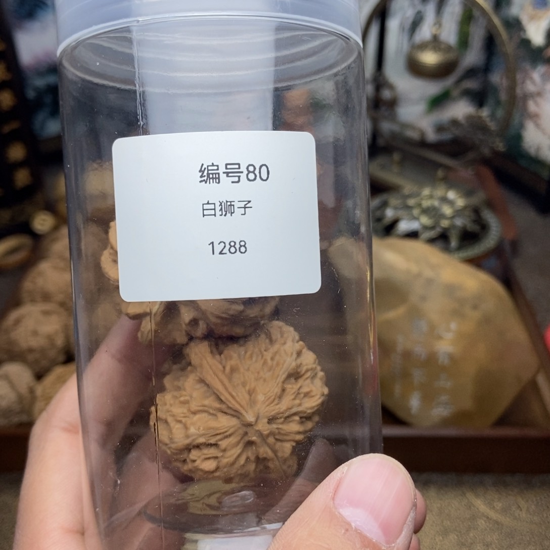 文玩核桃把件白狮子