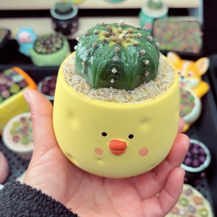 524零下地区记得拍保温箱