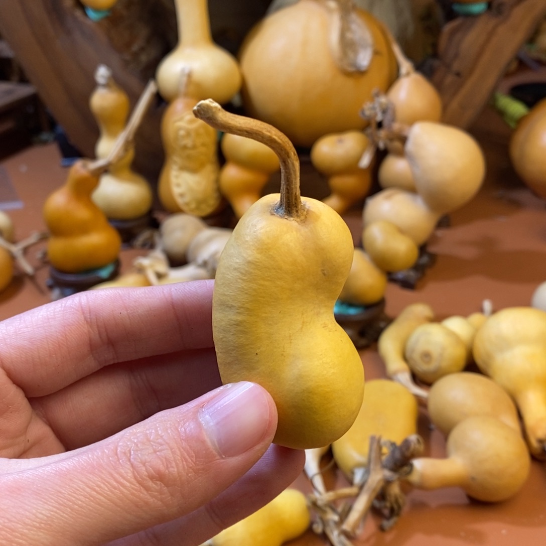 小***颖教练教练教练教练啦
