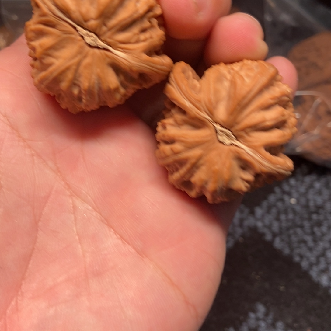 把件文玩核桃6白狮子41全品微瑕介意勿拍