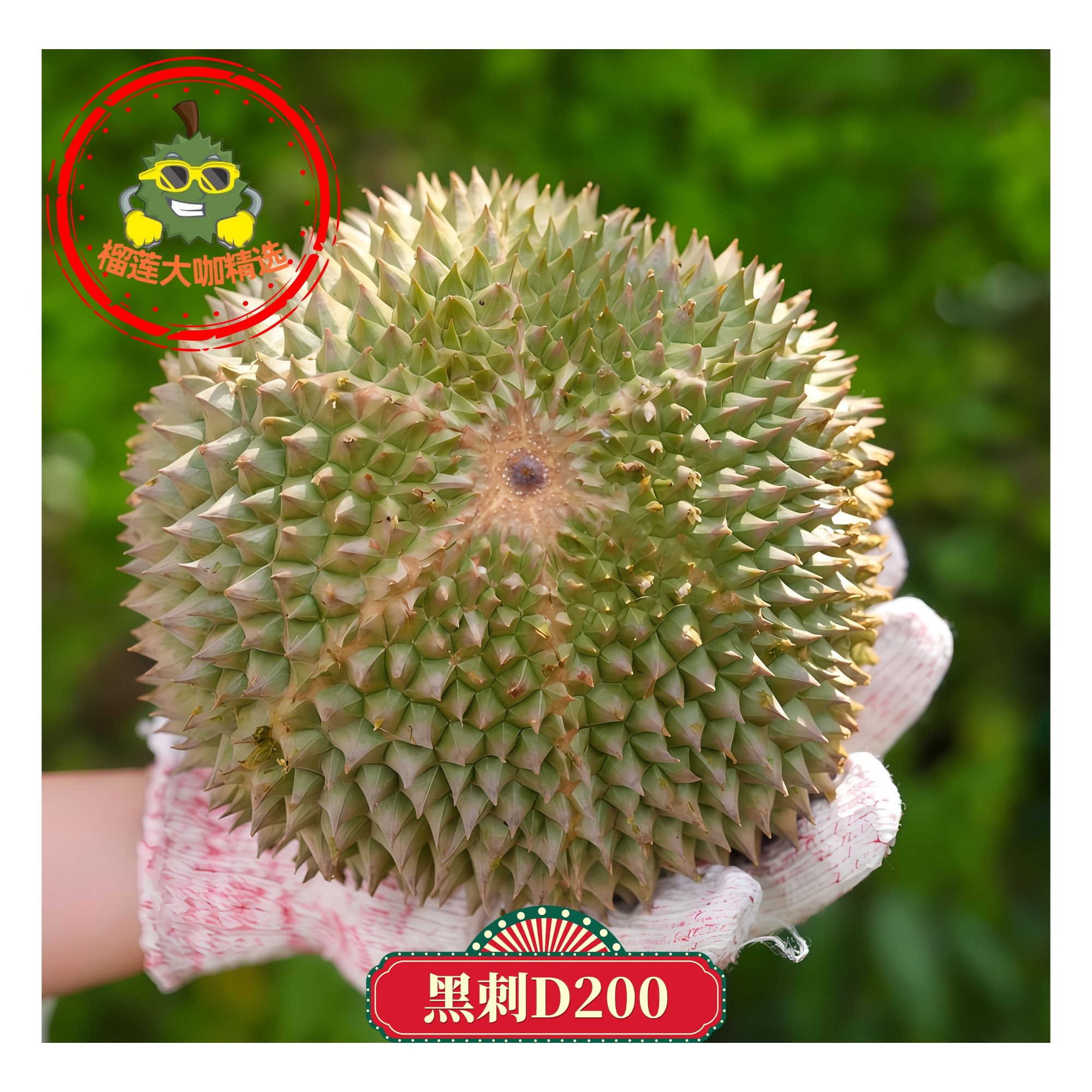新果双A自选黑刺榴莲D200液氮锁鲜马来西亚榴莲附近