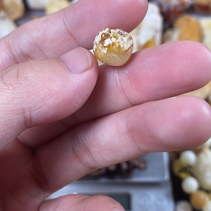 琥珀未镶嵌裸石我