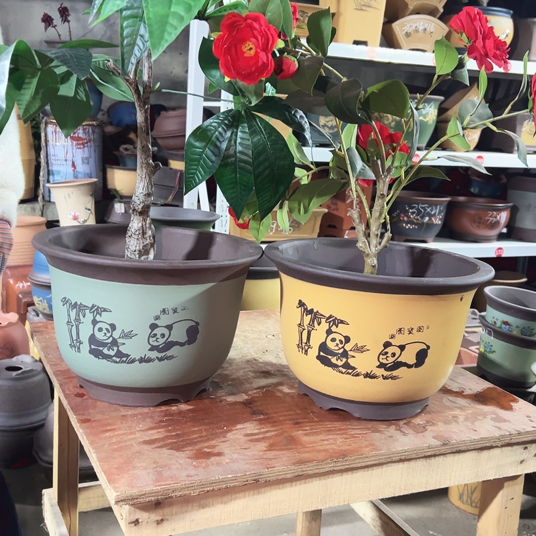 30绿色熊猫平角金钟+30黄色熊猫平角金钟