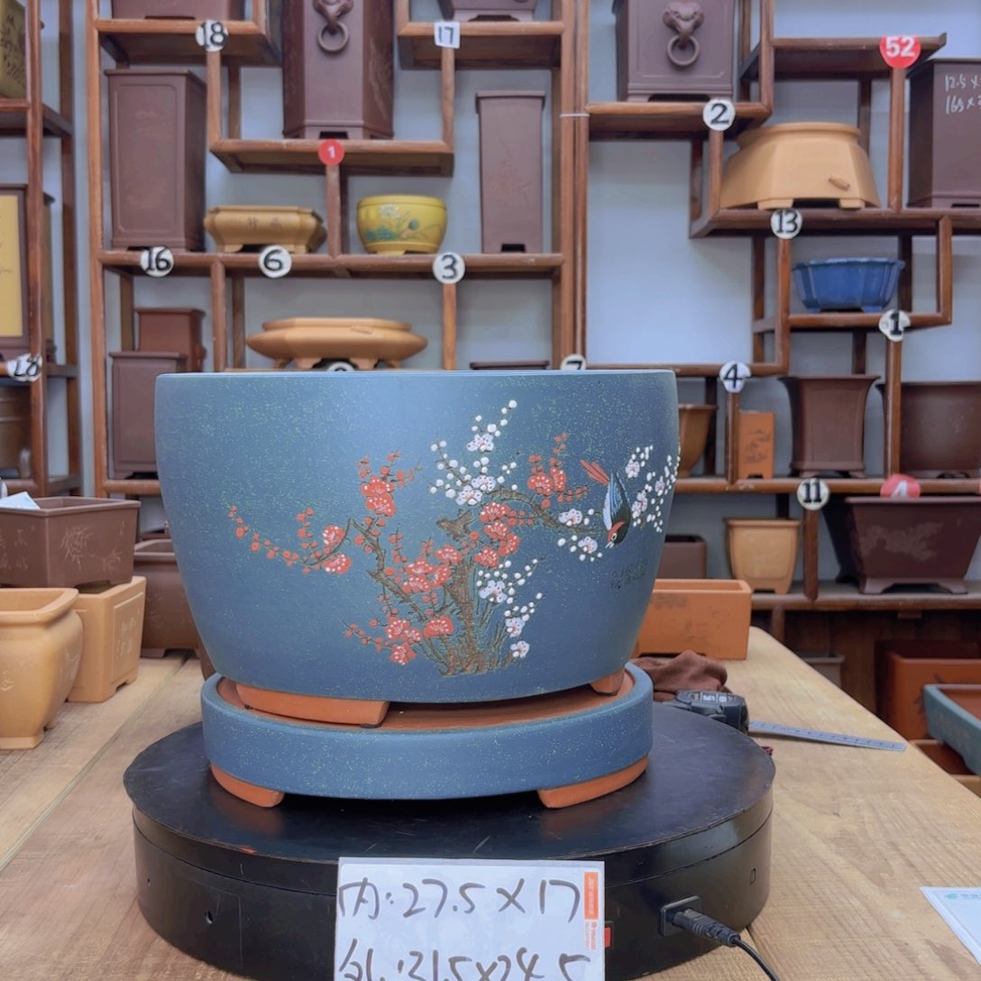 紫砂花盆福利秒杀