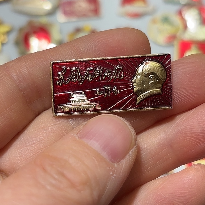 其他普通金属狼*纪念章