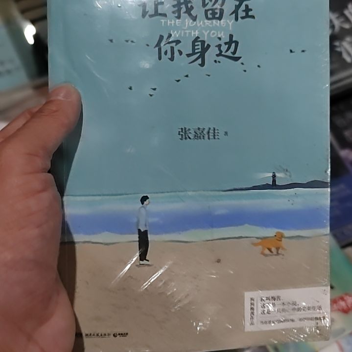 张嘉佳让我留在你身边