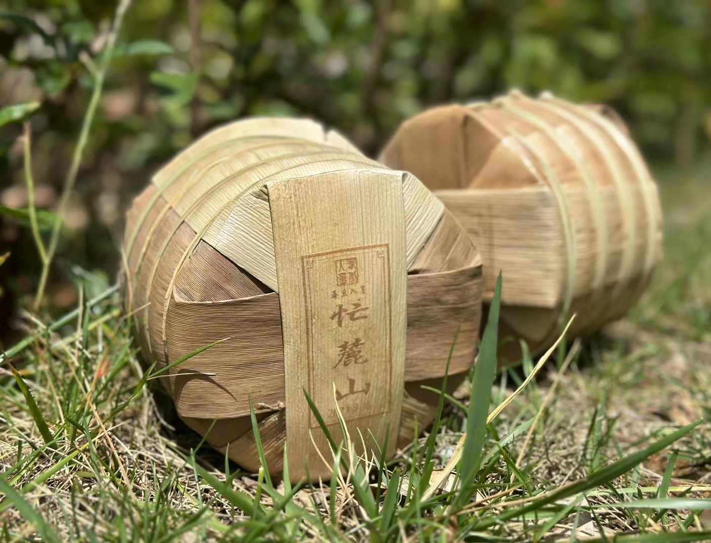 【2020年春茶】昔归忙麓山 古树普洱茶生茶 云南普洱茶生茶200g