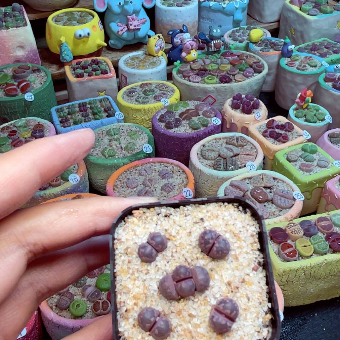 308。888888888888888888888