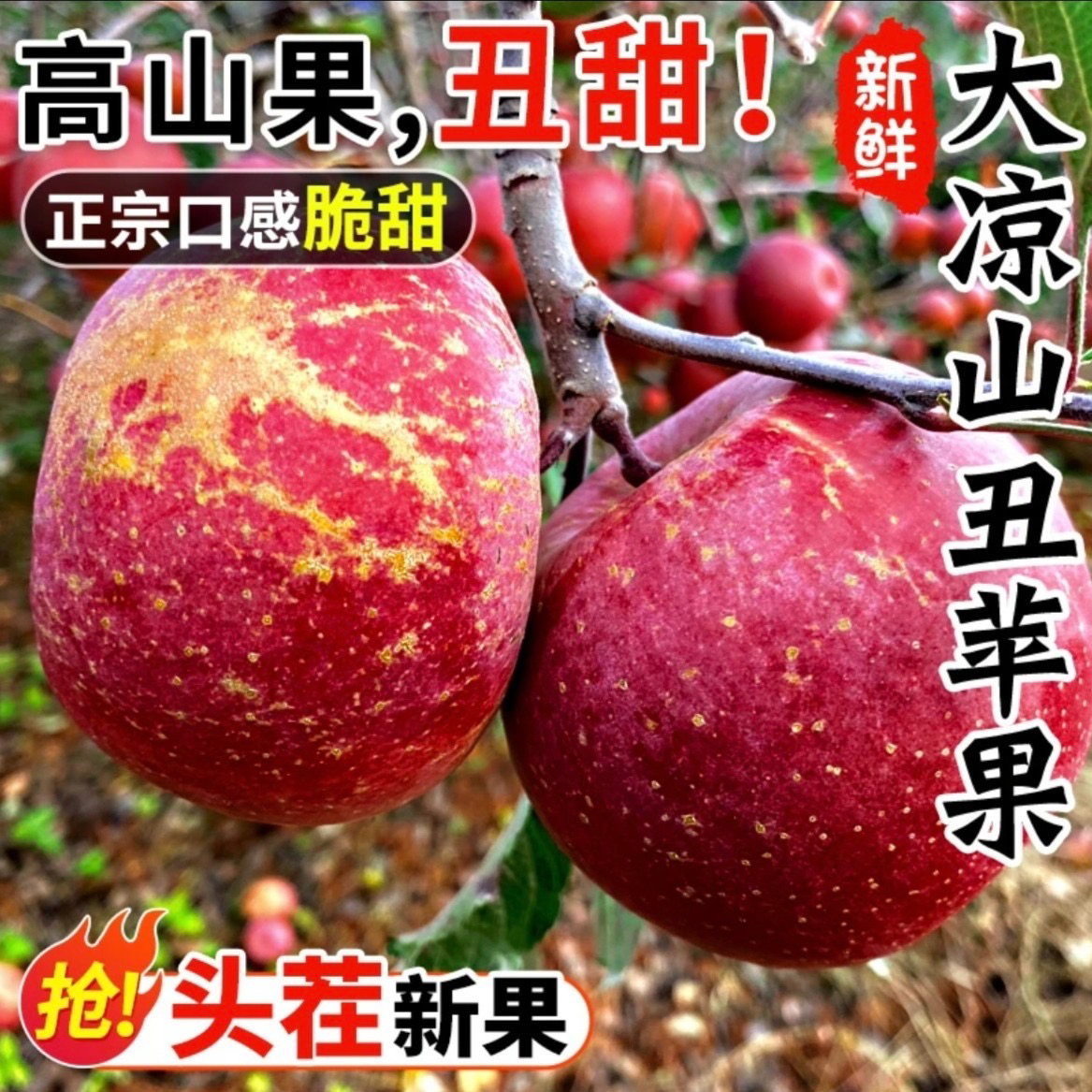 【2025】四川大凉山盐源冰糖心丑苹果5/8斤维C水果